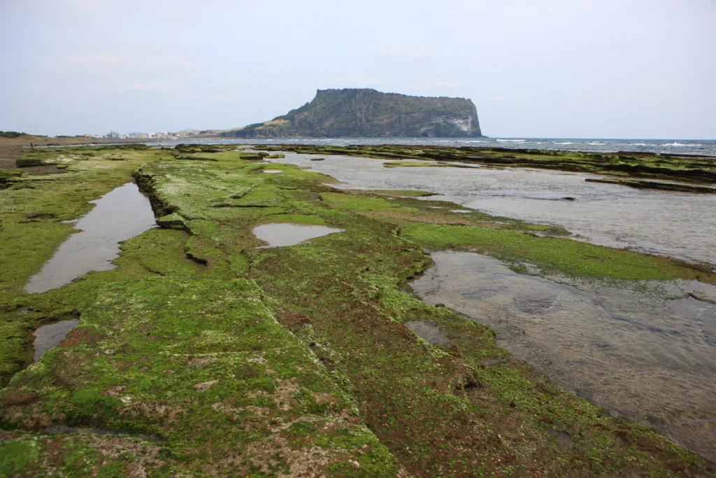 성산일출봉 가족 나들이 (출처 : 한국관광공사)
