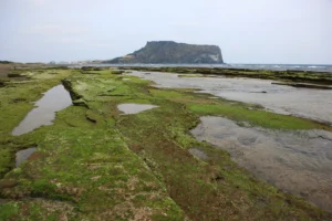 성산일출봉 가족 나들이 (출처 : 한국관광공사)