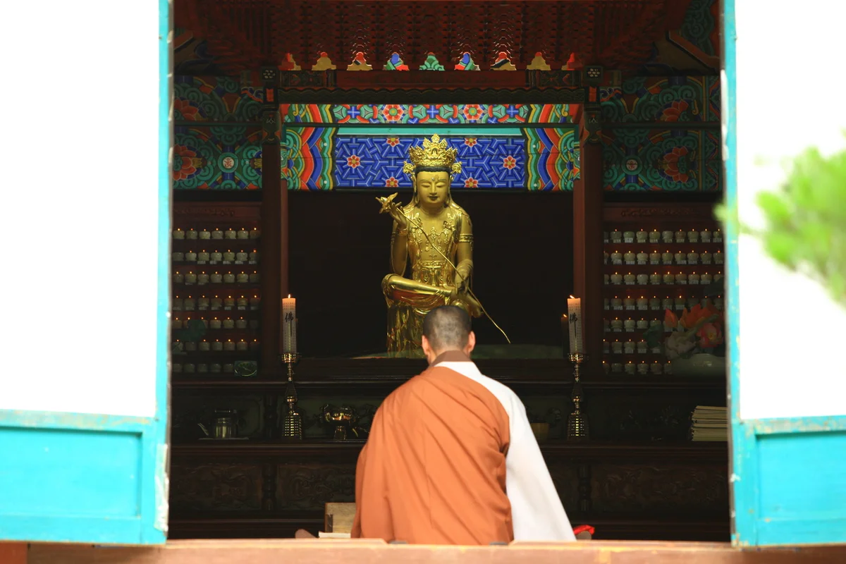 직지사 - 김천시 벚꽃 명소 여행