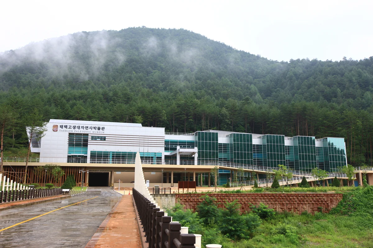 태백고생대자연사박물관: 태백 아이와 함께 떠나는 시간 여행 - 태백여행 여행