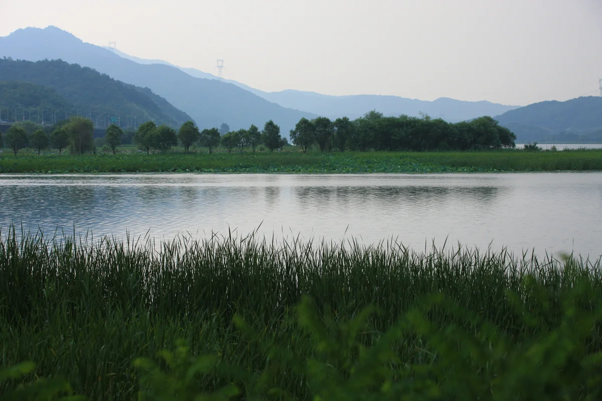 양수리딸기체험농장 - 양수리여행 여행