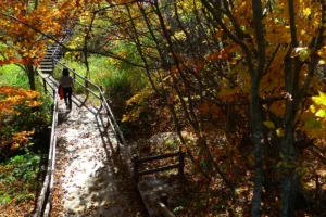 삼양 혼행 (출처 : 한국관광공사)