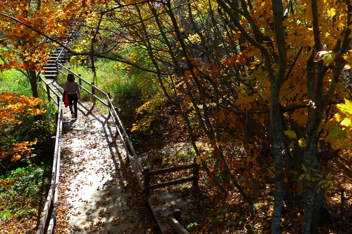 삼양 혼행 (출처 : 한국관광공사)