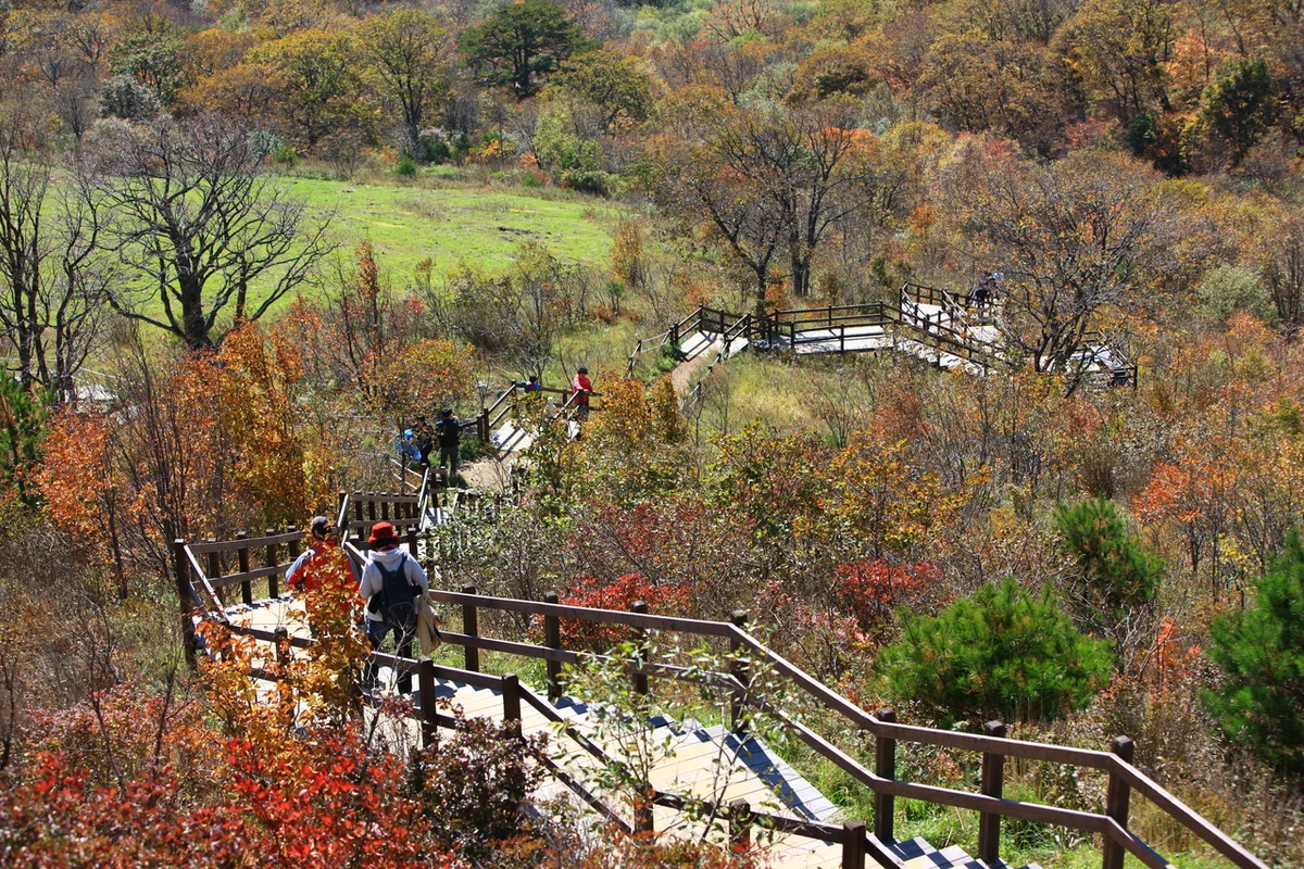 삼양 혼행, 나를 위한 시간 - 삼양동 여행
