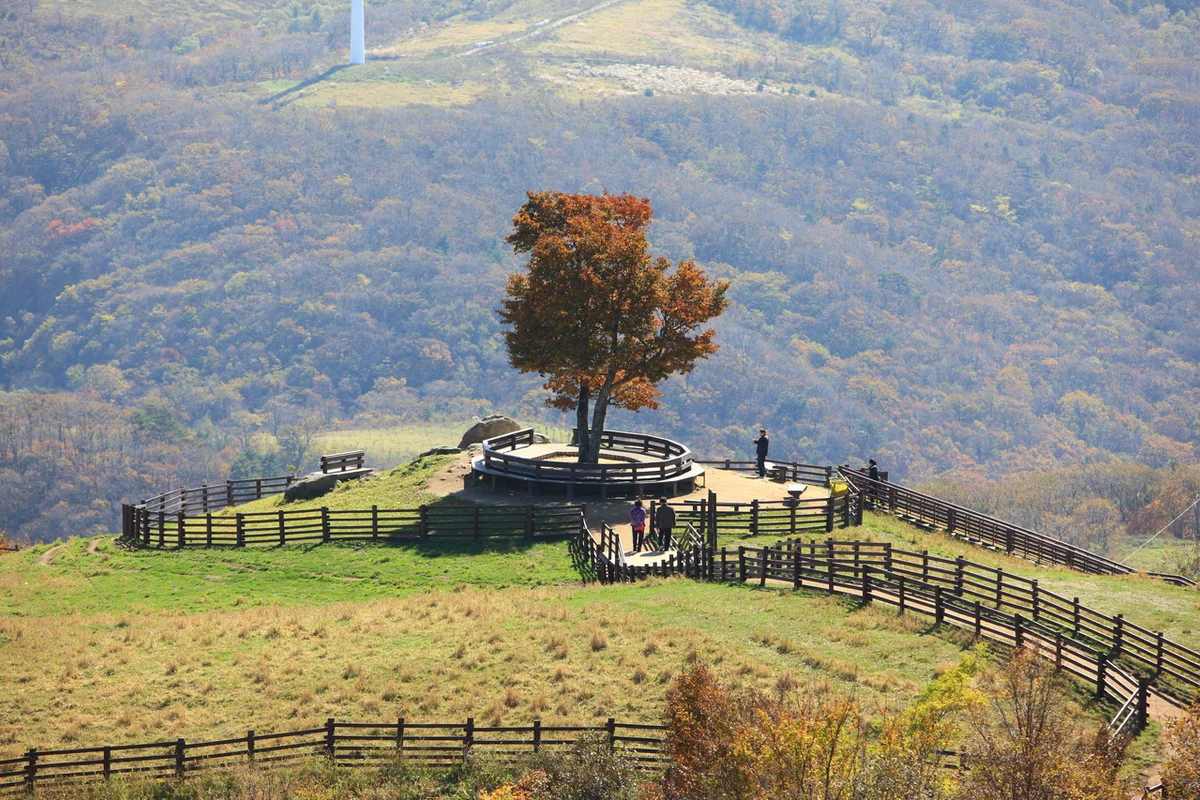삼각산도시자연공원 - 삼양동 여행