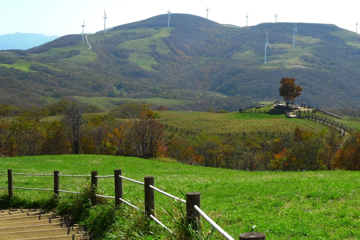 북한산 유아숲체험원 - 삼양동 여행