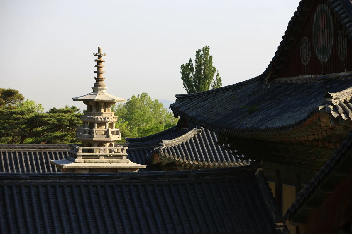 불국사 새로 생긴 곳: 코스믹 리조트 - 경주여행 여행