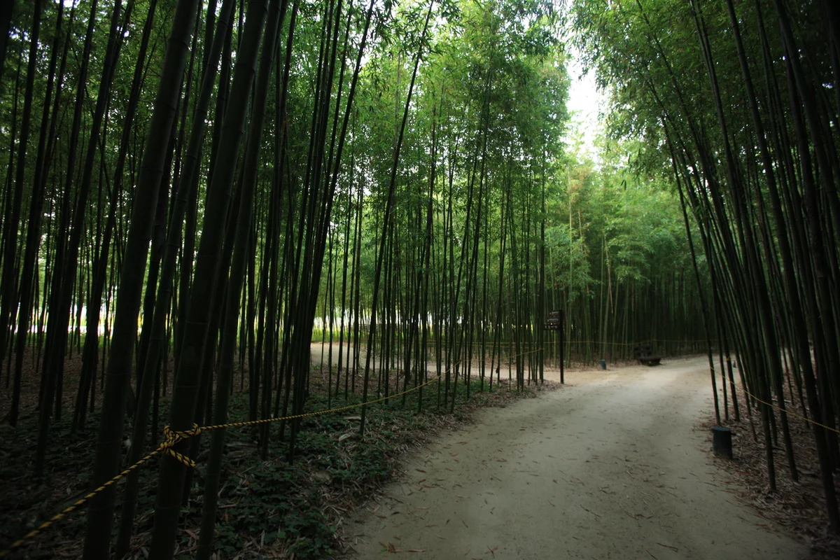 2026 울산 관광지 BEST 10 에디터스 픽 - 울산여행 여행