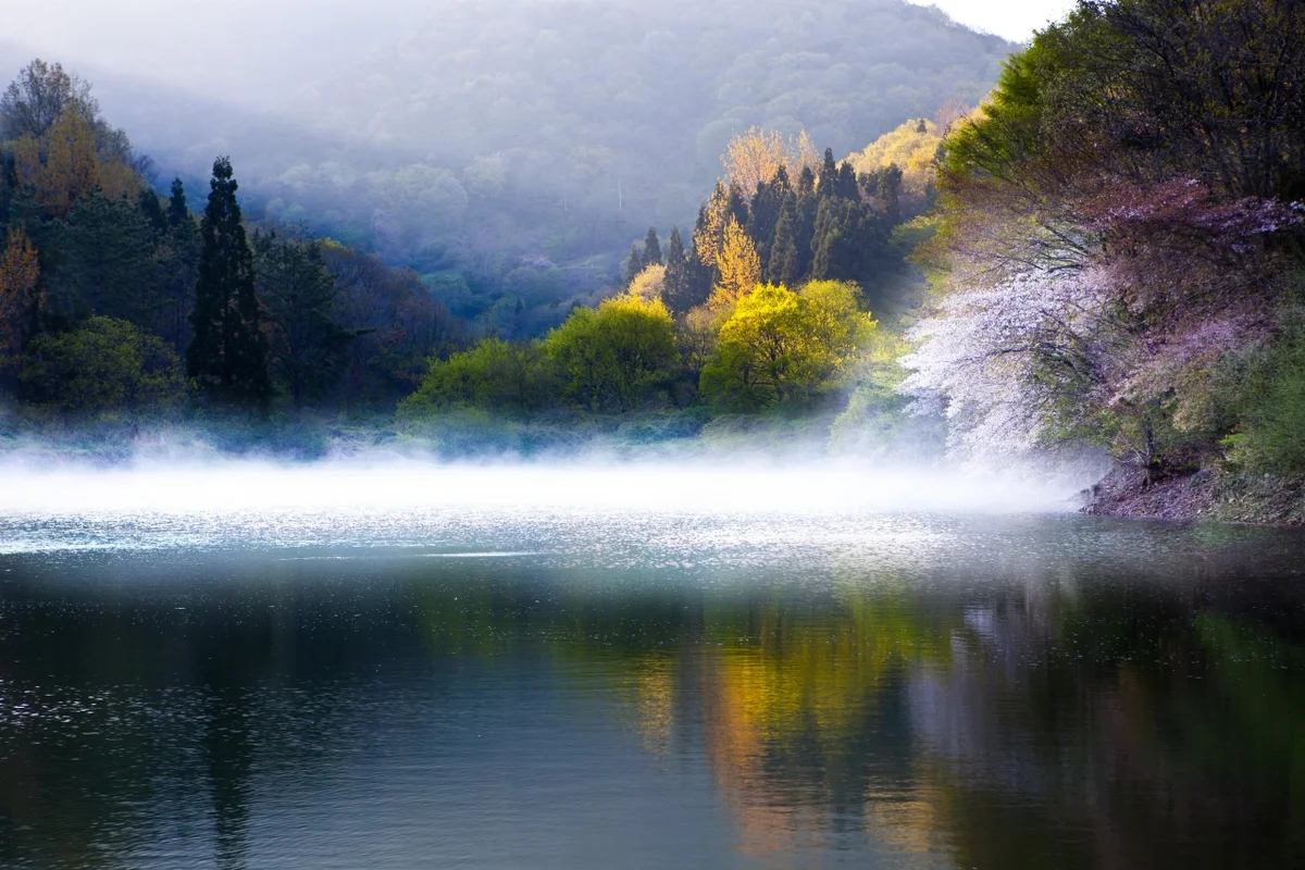 세량제 - 화순군 여행