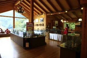 대전 부모님 모시고 (출처 : 한국관광공사)