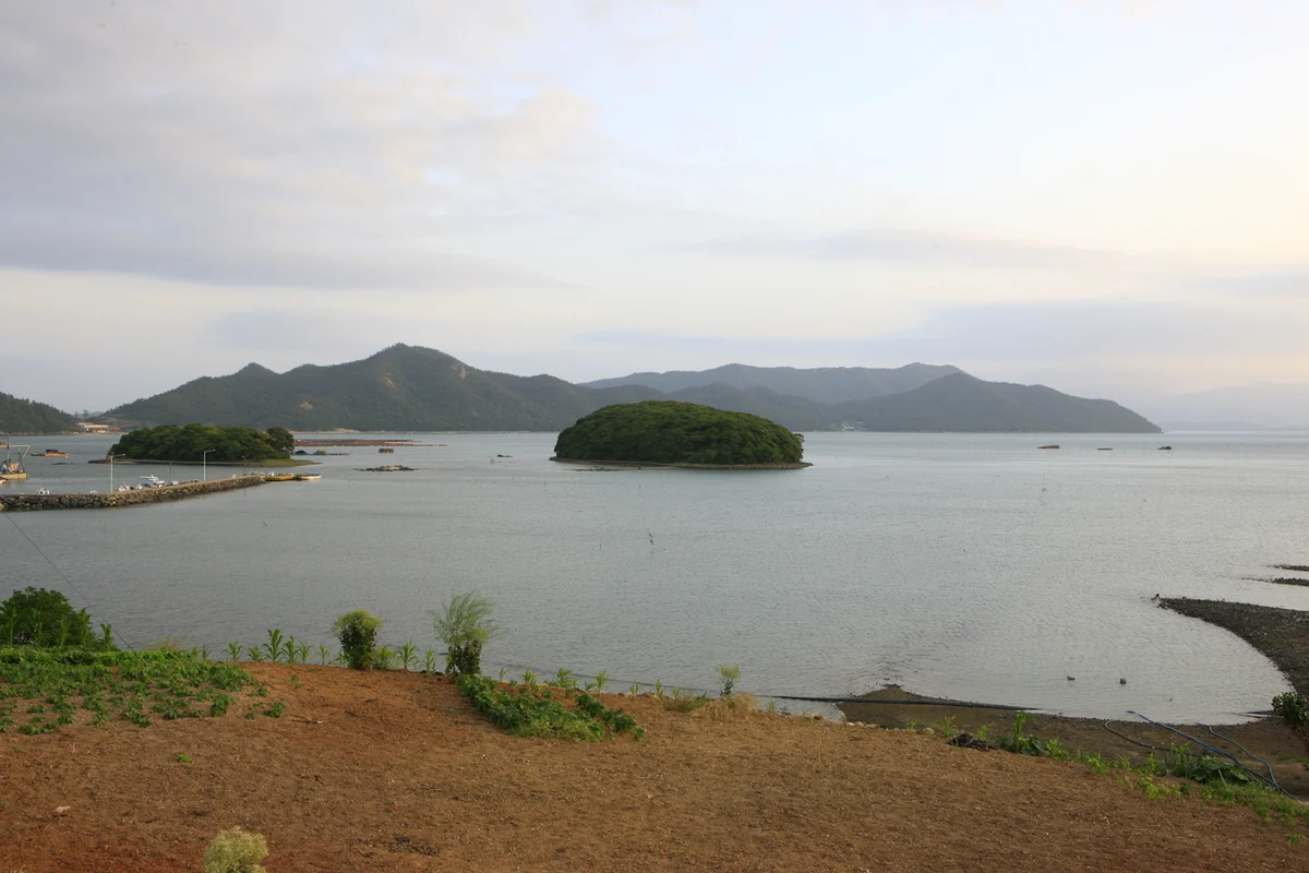 마량항 - 강진군 여행