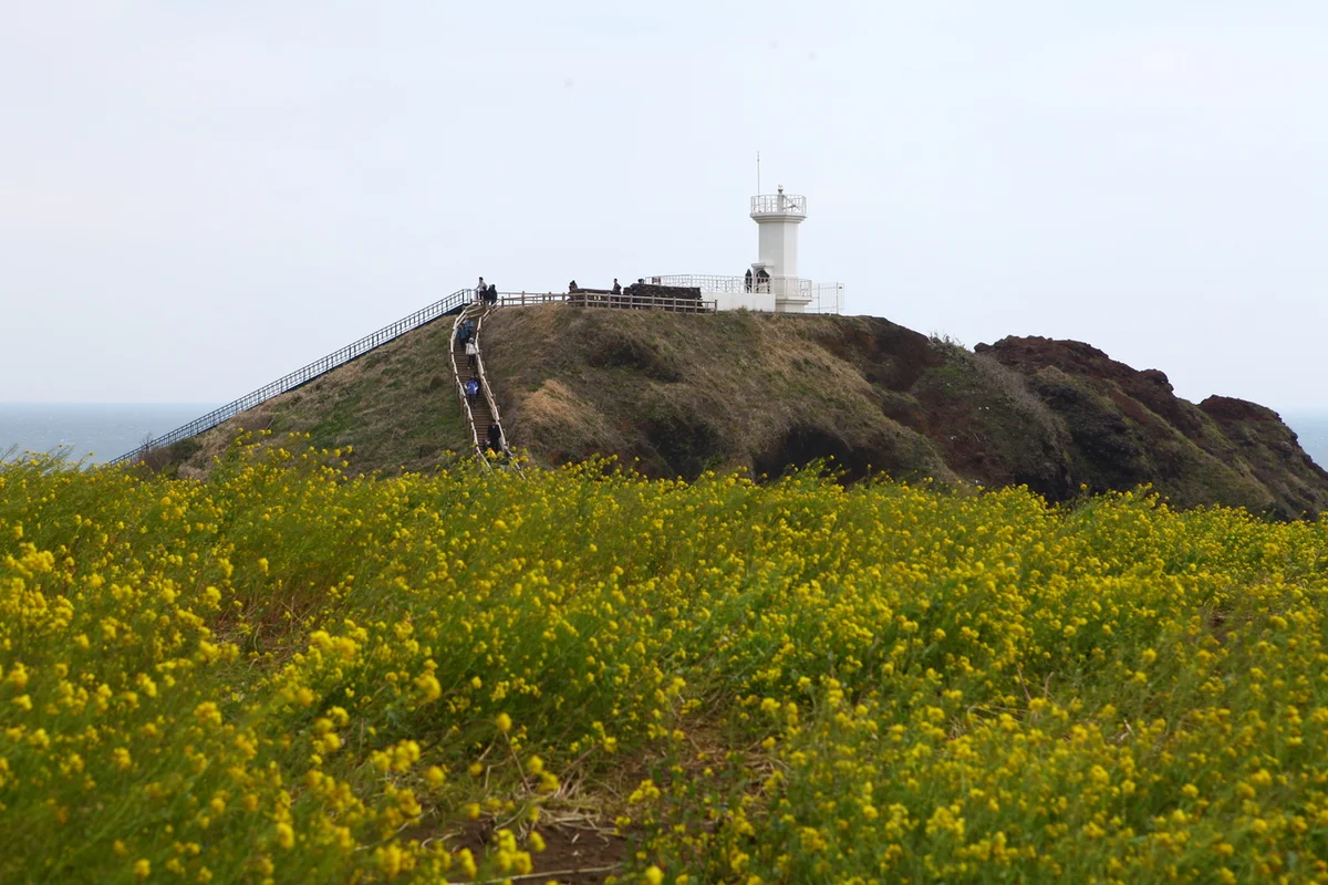 섭지코지 - 성산일출봉 여행