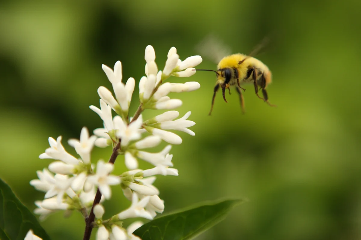 두륜산 - 해남여행 여행