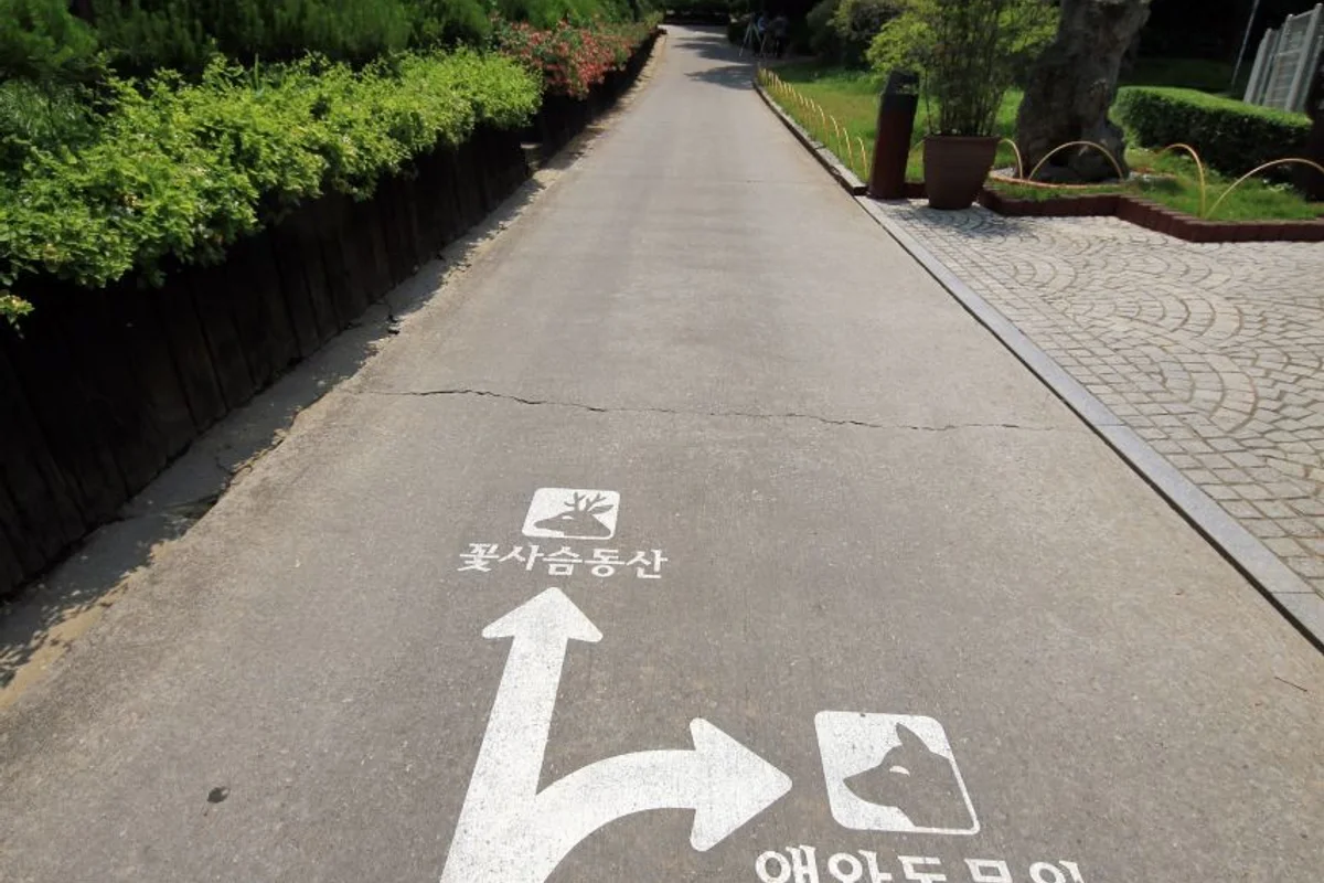 베어트리파크 - 2026년 봄 축제 여행