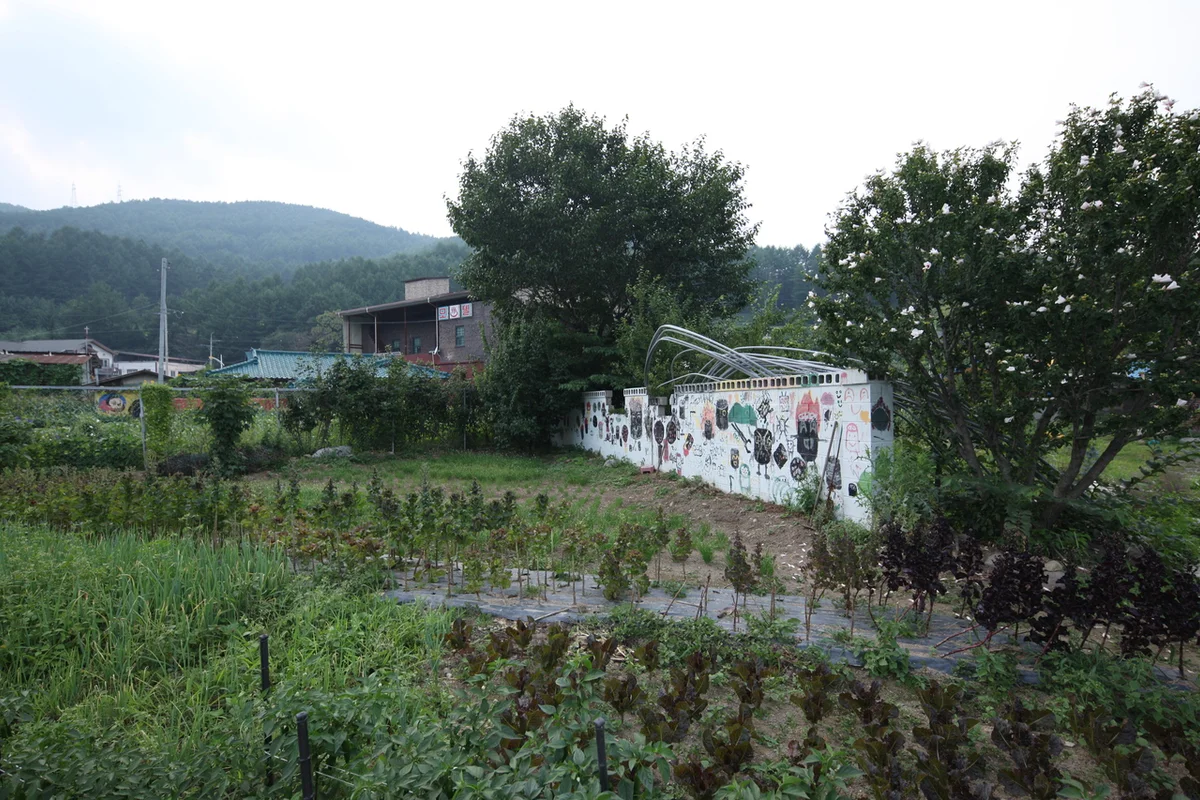 태백 눈꽃 야영장 - 태백캠핑 여행