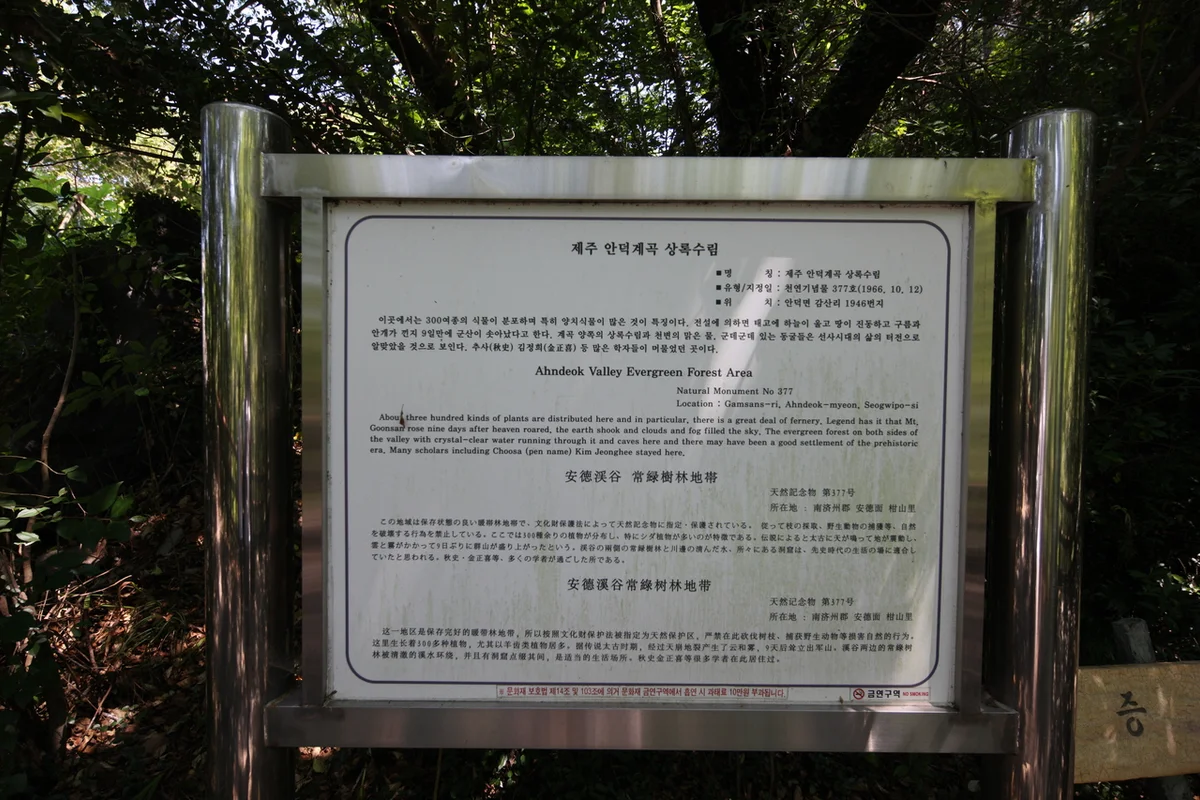 사계새나하우스 민박 - 제주여행 여행