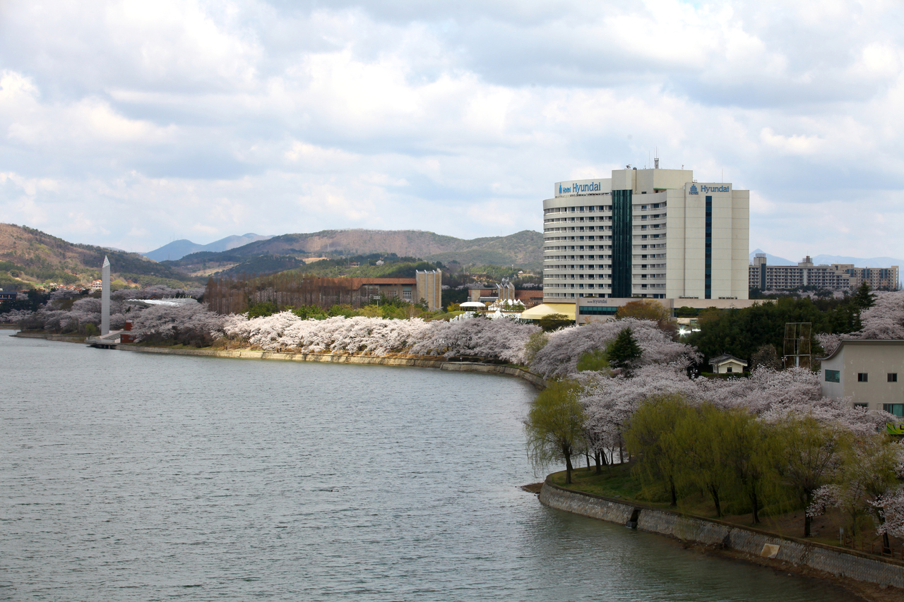 봄 호텔 - 교대 여행