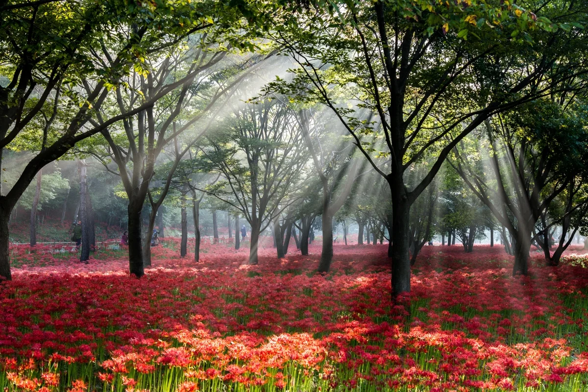 불갑사 - 영광군풀빌라 여행