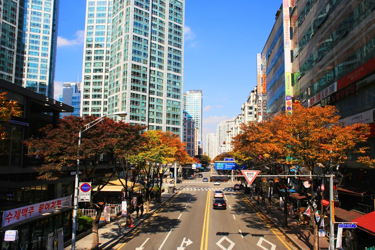 분당중앙공원: 도심 속 자연의 여유 - 분당여행 여행