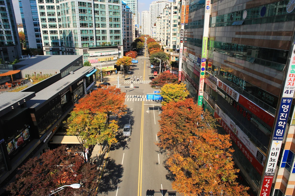 화랑공원: 판교의 로맨틱 야경 명소 - 분당여행 여행