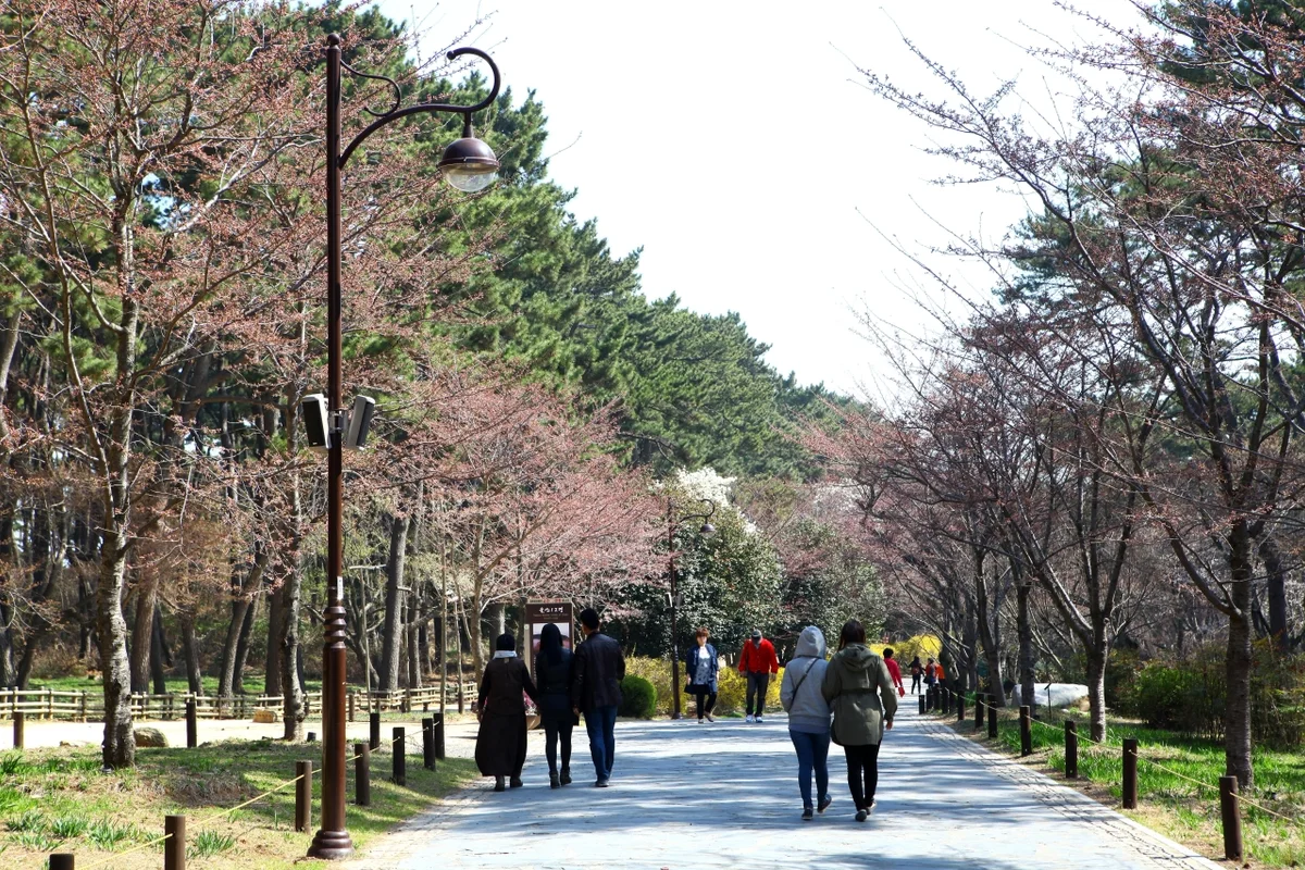 울산대교전망대 - 울산여행 여행