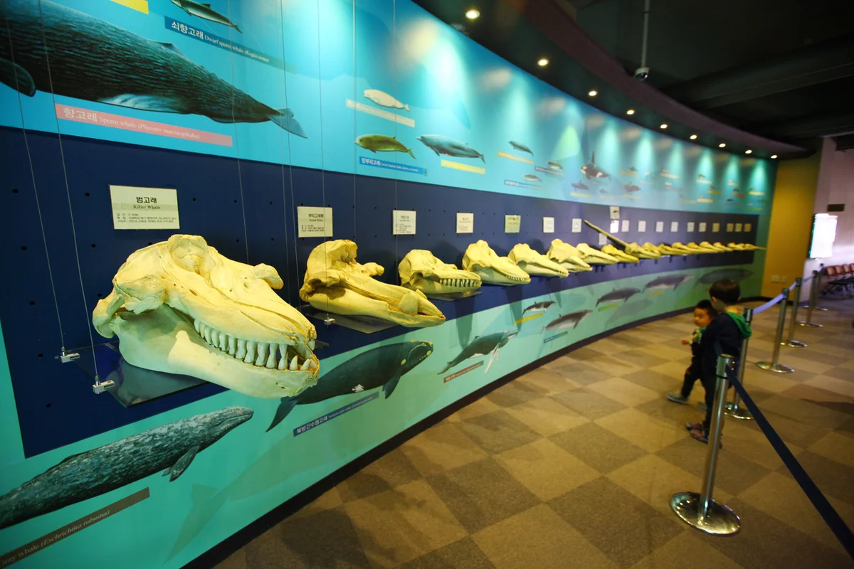 장생포고래박물관 - 울산여행 여행