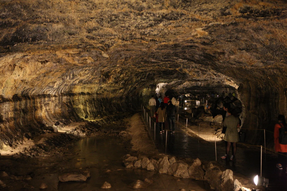 협재 벚꽃 명소 (출처 : 한국관광공사)