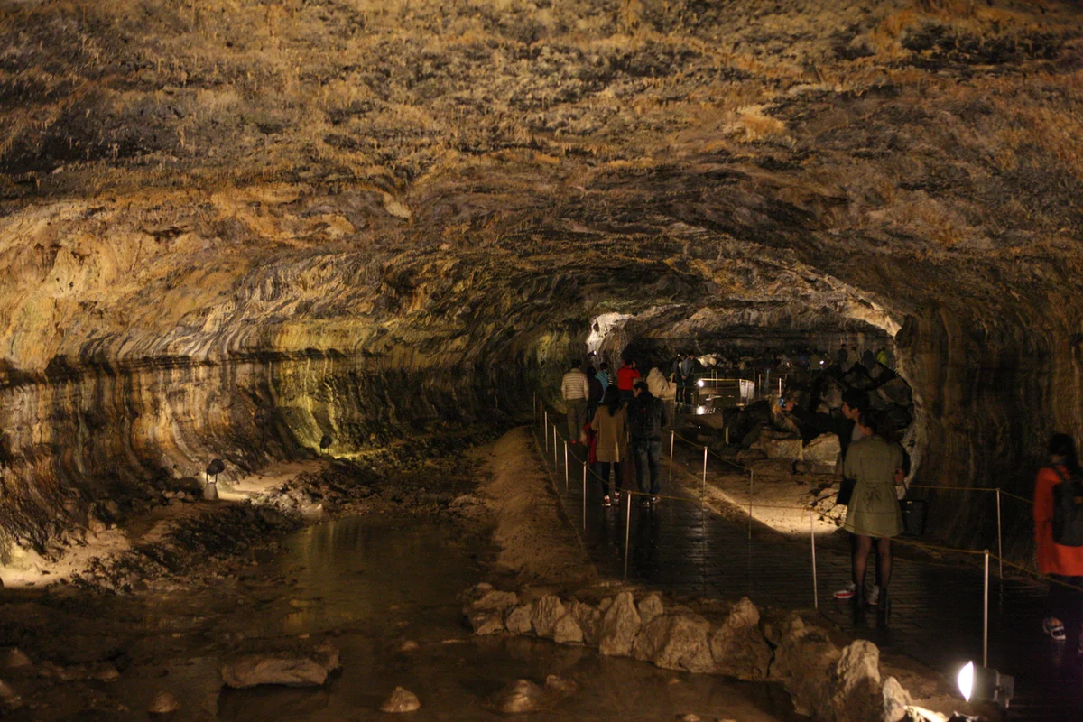 한라수목원 - 제주여행 여행