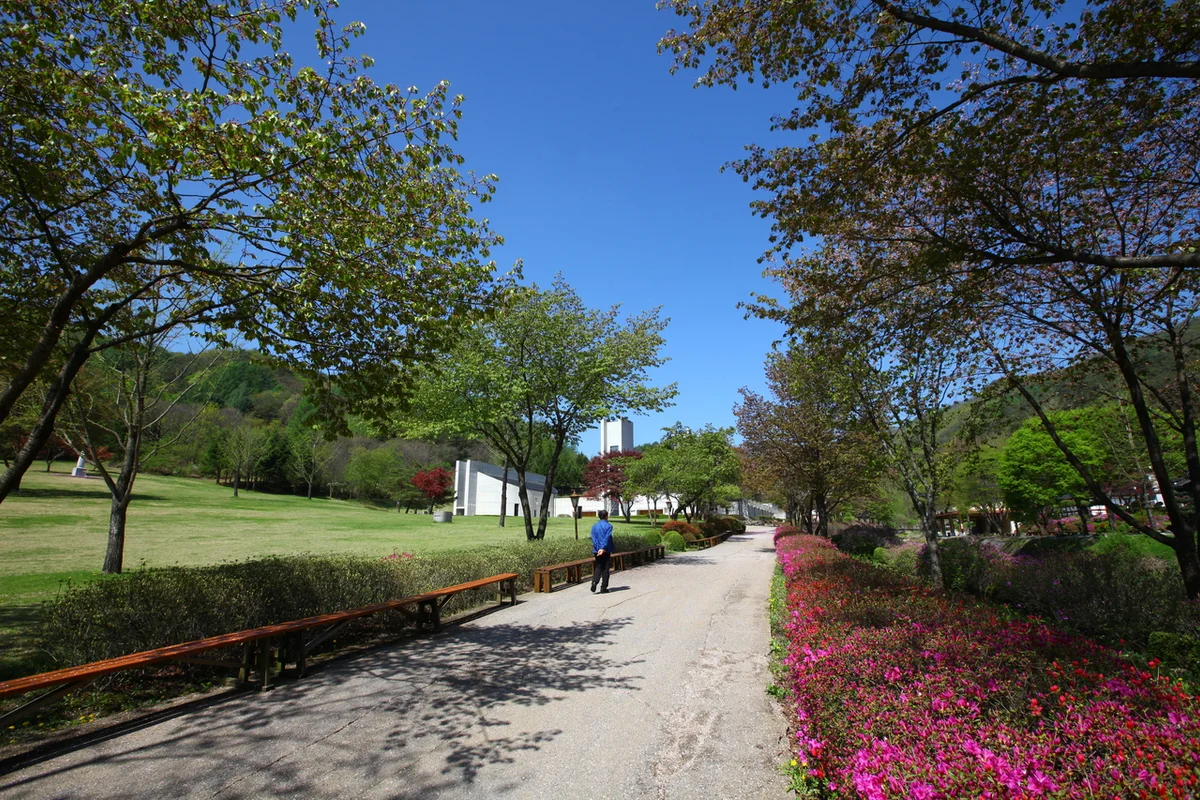청풍호반케이블카 - 제천여행 여행