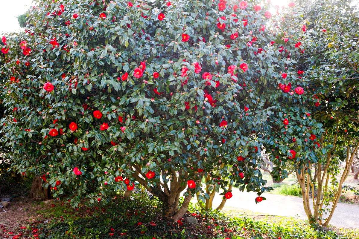 포레스트수목원 - 해남여행 여행