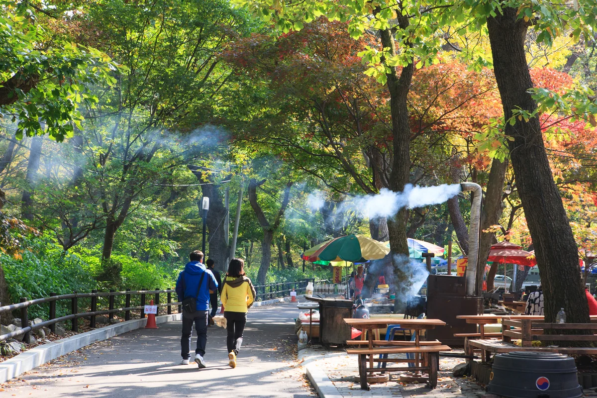 상무지구 등산: 상무시민공원 - 상무지구등산 여행