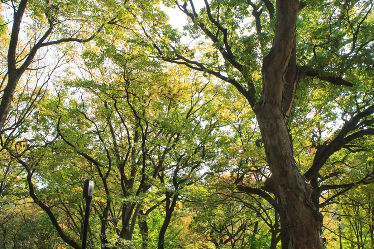 양화진역사공원 - 합정등산 여행