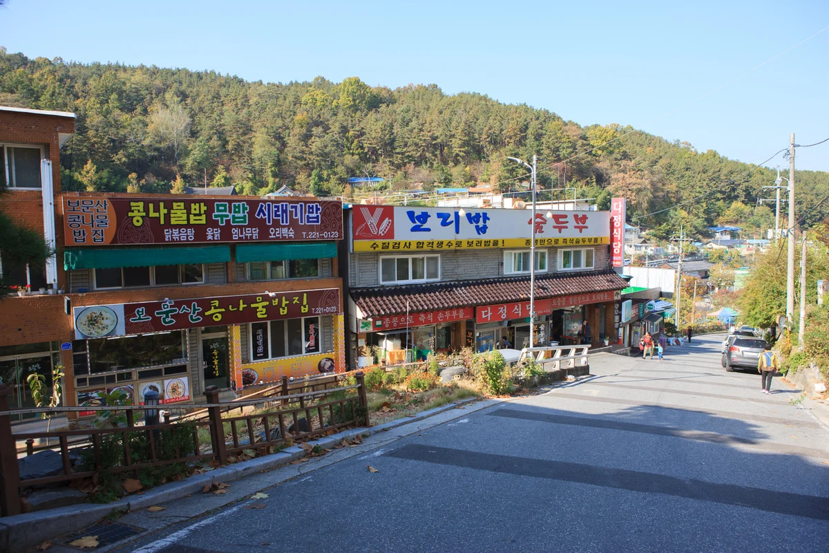 대전제2수목원(2027년예정) - 보문산수목원 여행