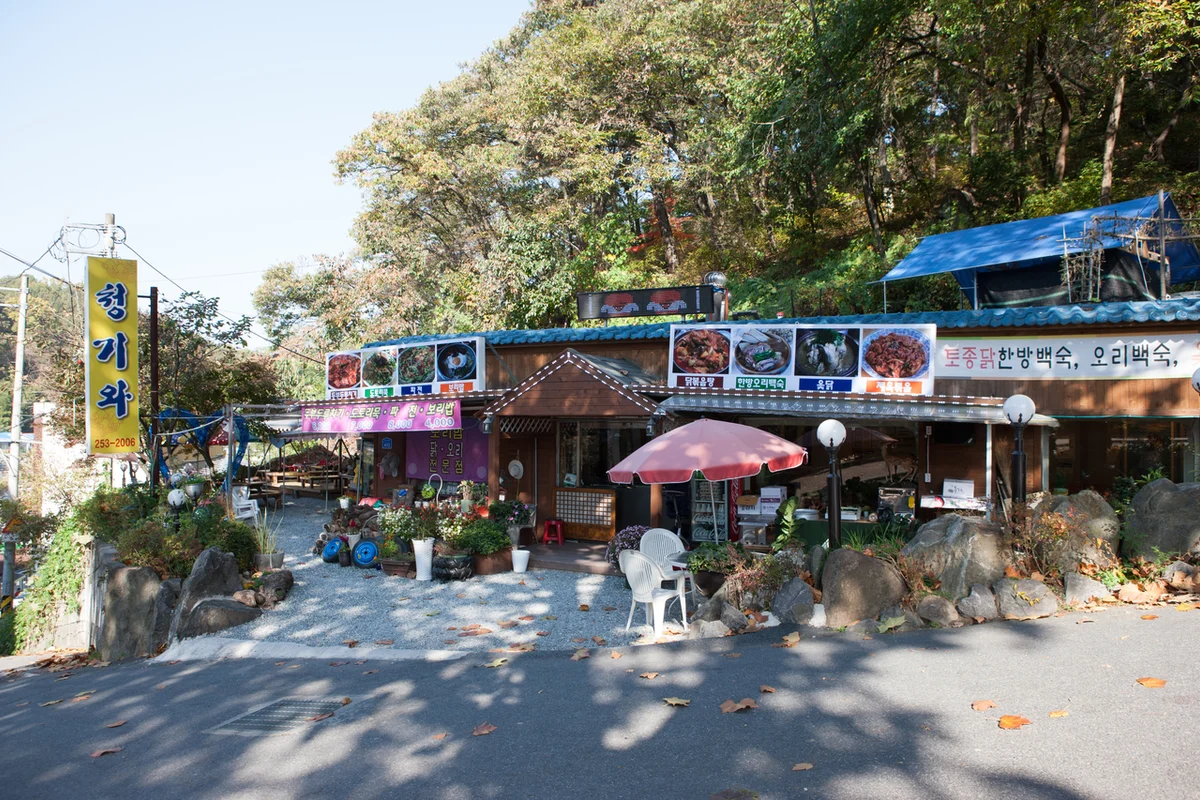 보문산큰나무전망대 - 보문산수목원 여행