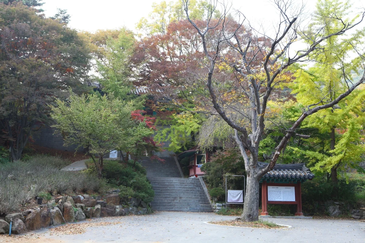 전등사 - 강화군 짚라인 여행