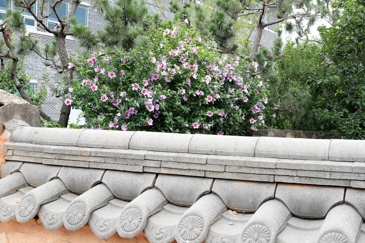 월출산기찬랜드 - 영암여행 여행