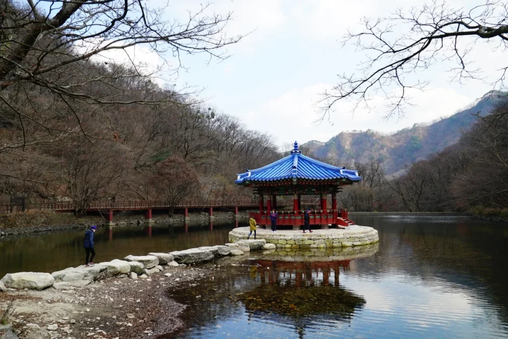 내장산 벚꽃 명소 (출처 : 한국관광공사)