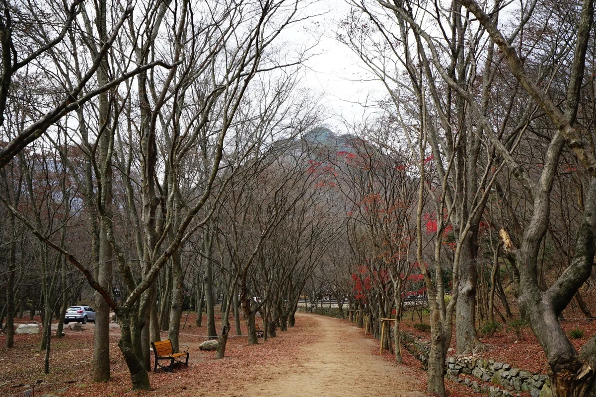 내장산단풍생태공원수생식물원 - 내장산 여행
