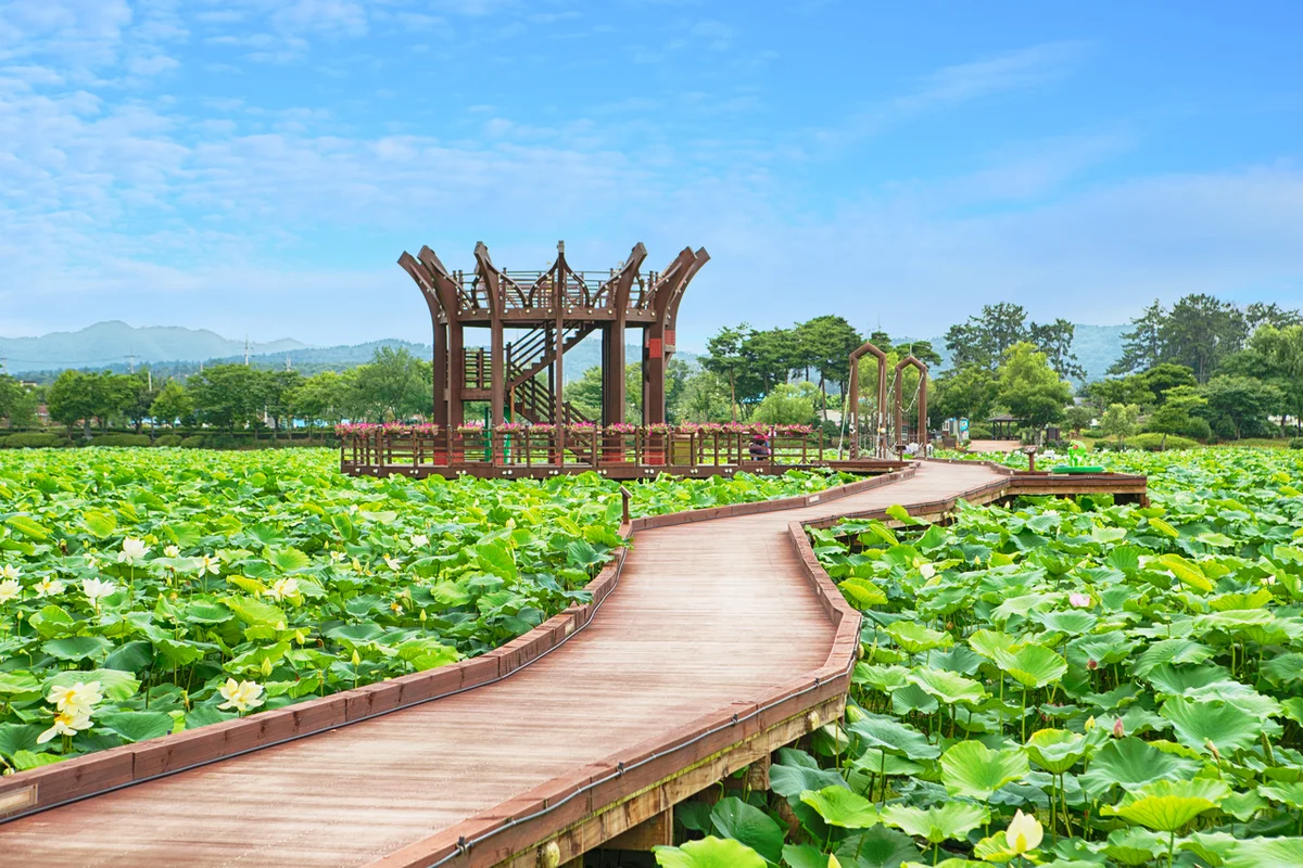 무안군 혼자 여행, 2026 봄 추천 코스 - 무안여행 여행