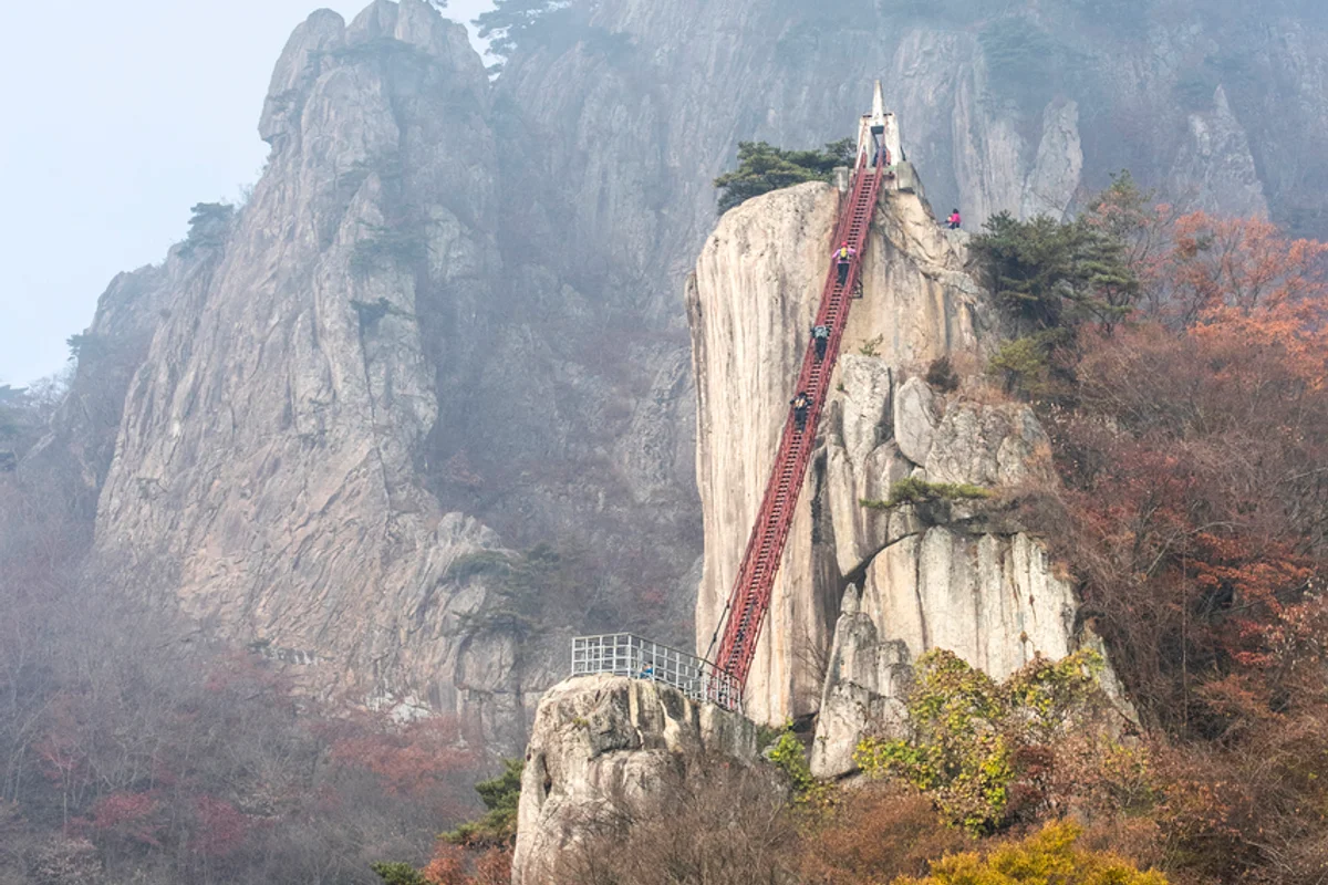 갤러리아백화점 타임월드점 - 둔산동 여행