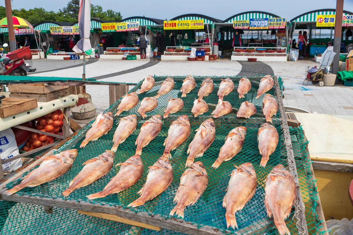 오시리아 관광단지: 기장 가성비 숙소의 중심 - 기장여행 여행