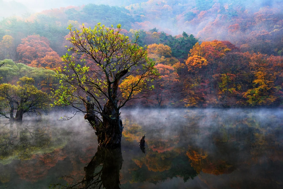 청송 2박3일, 에디터스 픽 - 청송여행 여행
