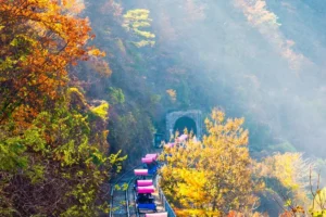 레일바이크 주차 편한 곳 (출처 : 한국관광공사)