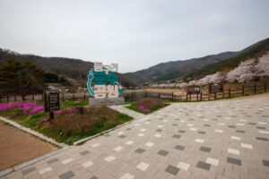 화순군 벚꽃 (출처 : 한국관광공사)