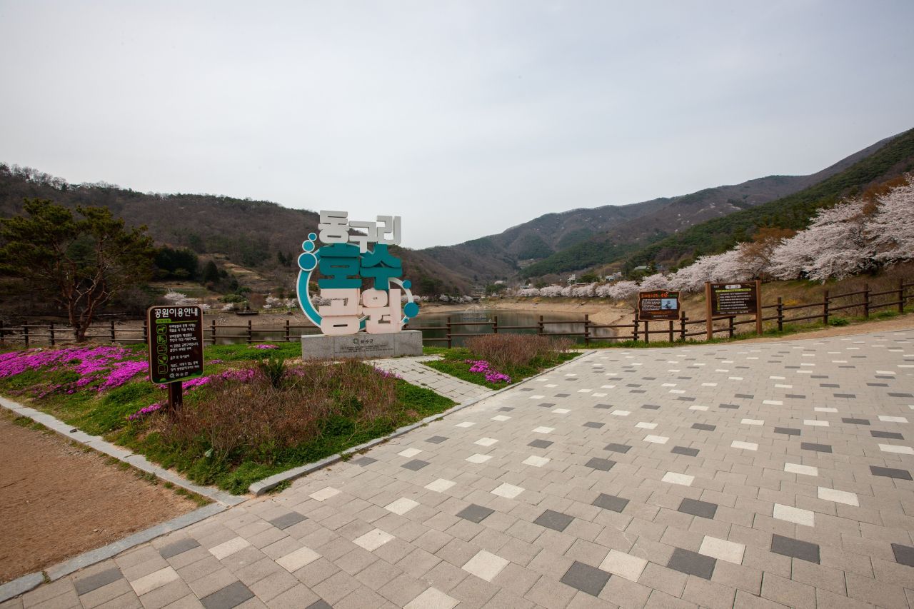 화순군 벚꽃 (출처 : 한국관광공사)