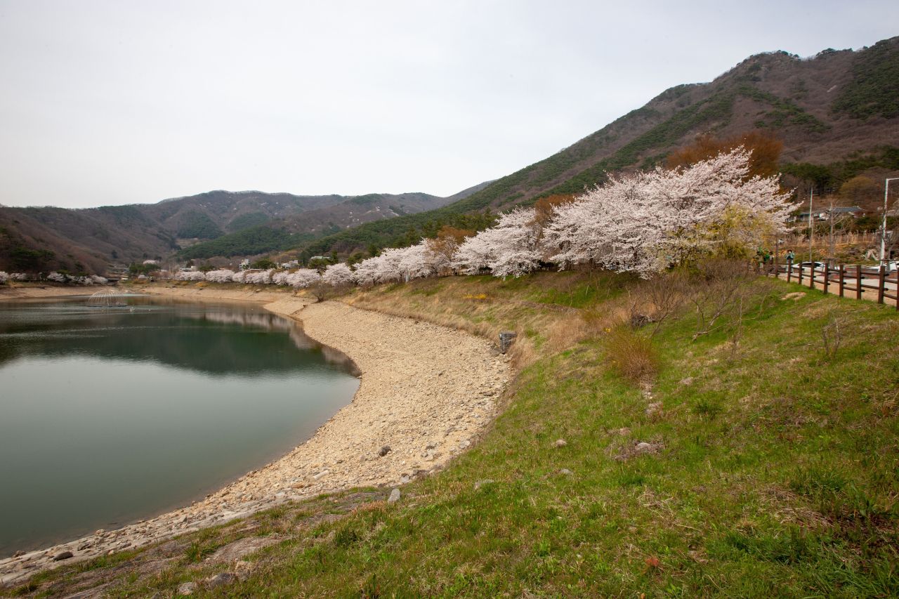 남산공원 - 화순군 여행