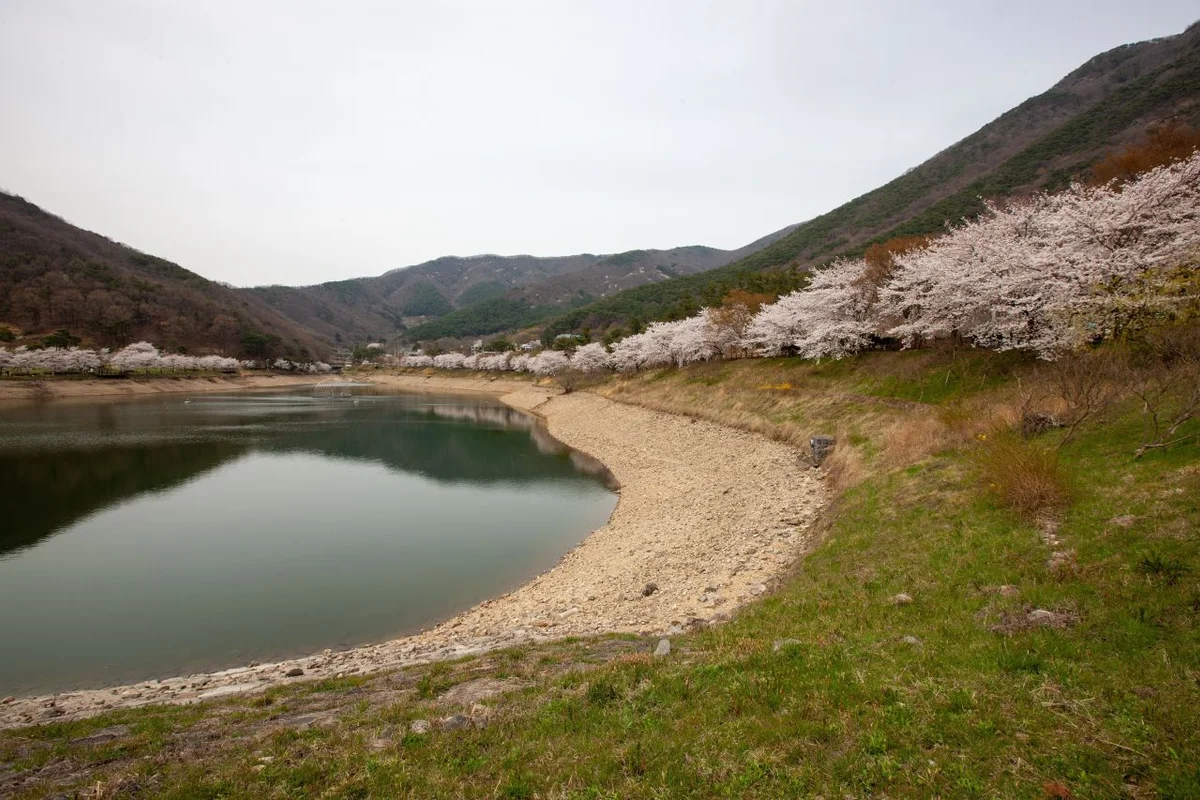 무등산양떼목장 - 화순군 여행