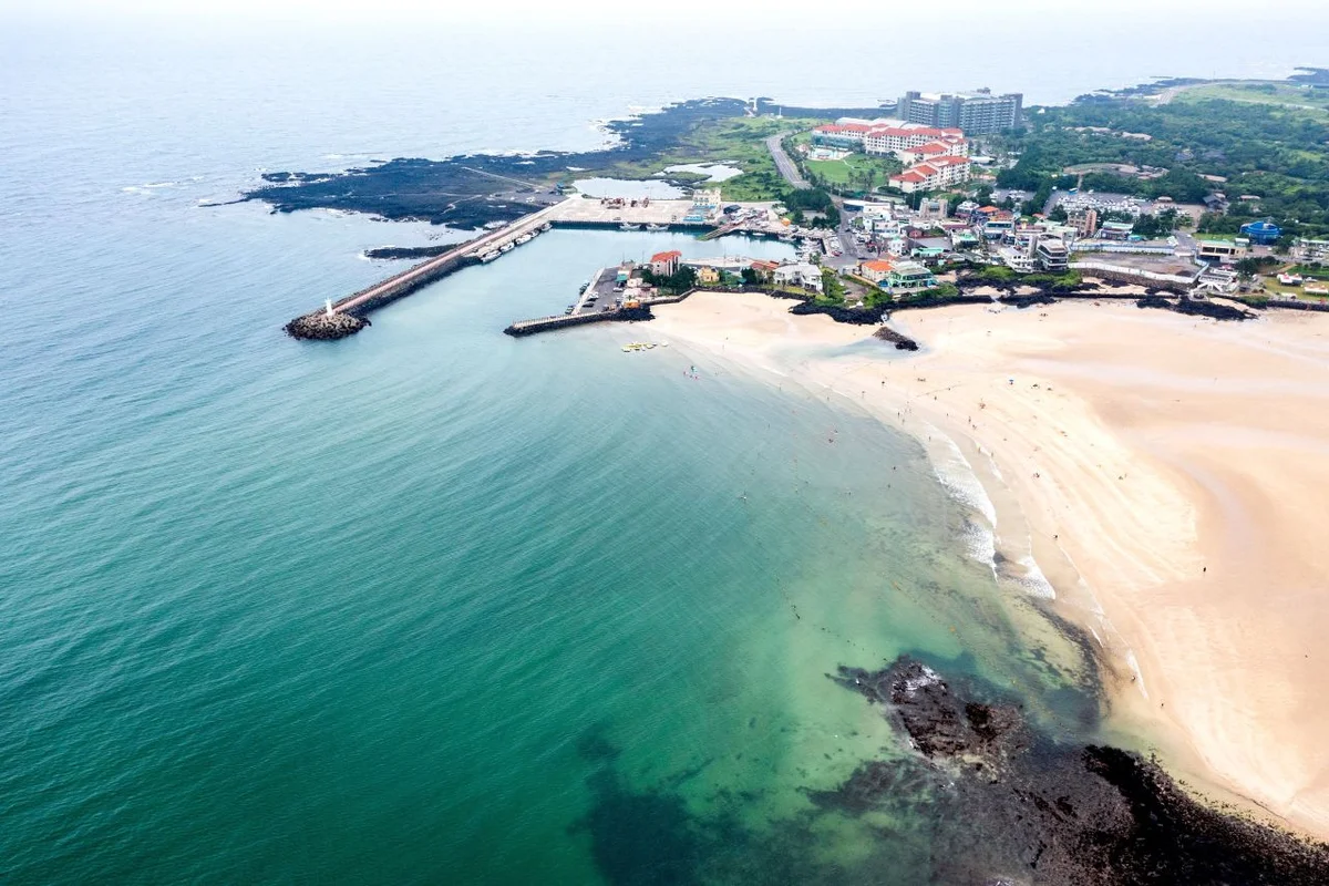 표선 혼자 여행 북카페 책계일주 - 표선여행 여행