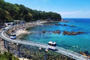 죽변항 주말여행 (출처 : 한국관광공사)