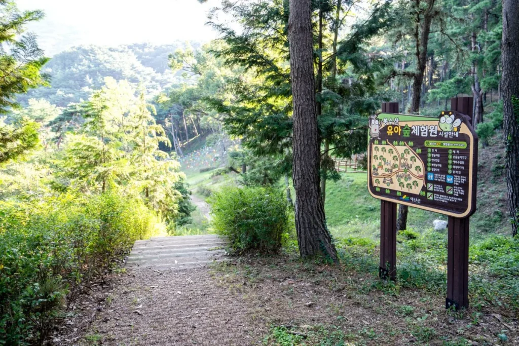 동탄 유아 동반 (출처 : 한국관광공사)